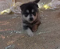 processed/fe545755-7fe2-4dfa-8c06-e3fff946b346/listing/b257ea59-1f87-47b6-b39c-9bdb1ae0ed53/4b119085-5941-4bdf-9a64-2072977e3783