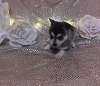 processed/fe545755-7fe2-4dfa-8c06-e3fff946b346/listing/d0b8b93b-8feb-449a-840c-197ac1df4d68/335a49dc-a206-4f4f-bd72-f815c473766a