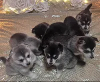 processed/fe545755-7fe2-4dfa-8c06-e3fff946b346/listing/d0b8b93b-8feb-449a-840c-197ac1df4d68/788ab7b3-6084-42ae-b206-43fe87ea2c0e