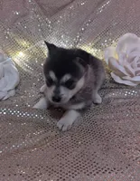 processed/fe545755-7fe2-4dfa-8c06-e3fff946b346/listing/d0b8b93b-8feb-449a-840c-197ac1df4d68/dad12707-52d3-46e7-9769-f014f550ac26