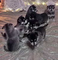 processed/fe545755-7fe2-4dfa-8c06-e3fff946b346/listing/d0b8b93b-8feb-449a-840c-197ac1df4d68/fa778584-1bd7-4c1f-aca4-3664de8606a2