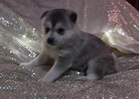 processed/fe545755-7fe2-4dfa-8c06-e3fff946b346/listing/e4febbcc-6718-4e35-bf30-3903607587d0/7ad036c0-48b3-436d-ae5e-260eb5c3ff99