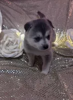 processed/fe545755-7fe2-4dfa-8c06-e3fff946b346/listing/e4febbcc-6718-4e35-bf30-3903607587d0/f96fbbac-8642-4664-976c-57d83880f794