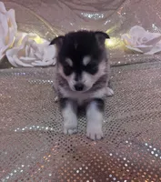 processed/fe545755-7fe2-4dfa-8c06-e3fff946b346/listing/f3c8d12f-2e5e-45e5-b32d-c9c333b245c8/440abd4d-ac58-44b4-8711-1650a46f6ee8