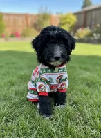 processed/fe5f30e7-21ca-453e-ae38-765ded433e43/facility/07727b71-a8c3-4201-a6bd-278c7a69b5ed