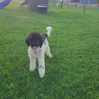 processed/fe5f30e7-21ca-453e-ae38-765ded433e43/facility/48a9bd17-a816-4658-95a6-db322baa46d1