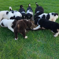 processed/fe5f30e7-21ca-453e-ae38-765ded433e43/facility/57161c10-255e-45c3-964b-d227e109e893