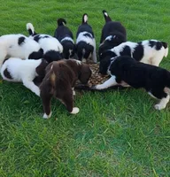 processed/fe5f30e7-21ca-453e-ae38-765ded433e43/facility/57161c10-255e-45c3-964b-d227e109e893