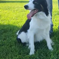 processed/fe5f30e7-21ca-453e-ae38-765ded433e43/facility/5fe2c2c3-2126-4838-8cb0-9a9da33f6333