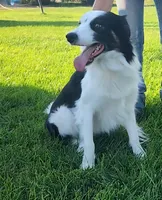 processed/fe5f30e7-21ca-453e-ae38-765ded433e43/facility/5fe2c2c3-2126-4838-8cb0-9a9da33f6333