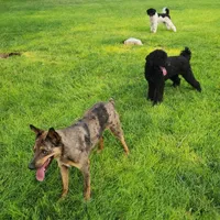 processed/fe5f30e7-21ca-453e-ae38-765ded433e43/facility/6b858576-5e5c-44a2-8a0a-fd5378c83d4b