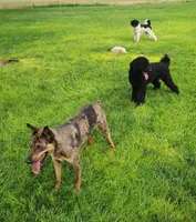 processed/fe5f30e7-21ca-453e-ae38-765ded433e43/facility/6b858576-5e5c-44a2-8a0a-fd5378c83d4b