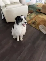 processed/fe5f30e7-21ca-453e-ae38-765ded433e43/facility/736585cb-0514-4e33-8be4-032ff8d216f9