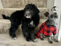 processed/fe5f30e7-21ca-453e-ae38-765ded433e43/facility/903d2de5-730e-4838-a765-aafa2ba4bfbc