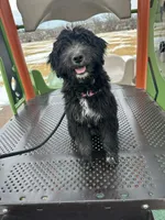 processed/fe5f30e7-21ca-453e-ae38-765ded433e43/facility/c6d38eb7-9a86-457f-bb9b-4be8827911cb