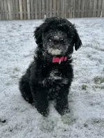 processed/fe5f30e7-21ca-453e-ae38-765ded433e43/facility/cff619e0-dbd6-4683-a8f9-69582a26cc4f