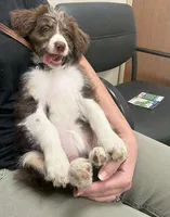 processed/fe5f30e7-21ca-453e-ae38-765ded433e43/facility/f4fd8054-e59e-4026-b2bf-978144eaded5