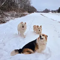 processed/fe5f7829-14bb-4c4b-aa7e-066bfb410280/facility/1dc8e767-f577-4a0c-b6bb-05fa0db299de