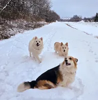 processed/fe5f7829-14bb-4c4b-aa7e-066bfb410280/facility/1dc8e767-f577-4a0c-b6bb-05fa0db299de