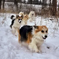 processed/fe5f7829-14bb-4c4b-aa7e-066bfb410280/facility/2648e3ba-c6c9-462c-8444-6e2678b8588f