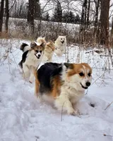 processed/fe5f7829-14bb-4c4b-aa7e-066bfb410280/facility/2648e3ba-c6c9-462c-8444-6e2678b8588f