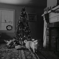 processed/fe5f7829-14bb-4c4b-aa7e-066bfb410280/facility/2dc1b61f-bfd0-41c1-bbb3-af533bcfcc6f