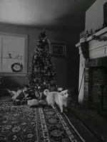 processed/fe5f7829-14bb-4c4b-aa7e-066bfb410280/facility/2dc1b61f-bfd0-41c1-bbb3-af533bcfcc6f