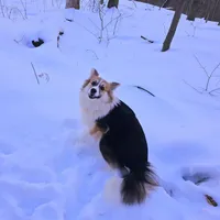 processed/fe5f7829-14bb-4c4b-aa7e-066bfb410280/facility/30c6e6ad-6565-4901-97d8-238dd41b8b2c