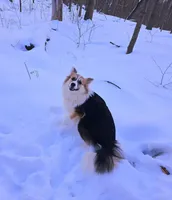 processed/fe5f7829-14bb-4c4b-aa7e-066bfb410280/facility/30c6e6ad-6565-4901-97d8-238dd41b8b2c