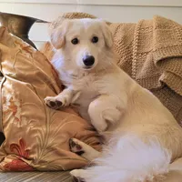 processed/fe5f7829-14bb-4c4b-aa7e-066bfb410280/facility/574af31c-58ba-426d-8f0c-fa43a65ba33d