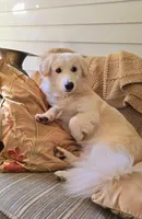 processed/fe5f7829-14bb-4c4b-aa7e-066bfb410280/facility/574af31c-58ba-426d-8f0c-fa43a65ba33d