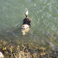 processed/fe5f7829-14bb-4c4b-aa7e-066bfb410280/facility/b23ba2e4-95d4-415b-b6d2-a1ef0357cd93