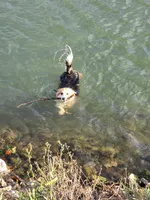 processed/fe5f7829-14bb-4c4b-aa7e-066bfb410280/facility/b23ba2e4-95d4-415b-b6d2-a1ef0357cd93