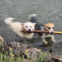 processed/fe5f7829-14bb-4c4b-aa7e-066bfb410280/facility/dfefe1ac-8025-4cf9-a17d-715c04cc25e9