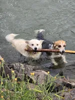 processed/fe5f7829-14bb-4c4b-aa7e-066bfb410280/facility/dfefe1ac-8025-4cf9-a17d-715c04cc25e9