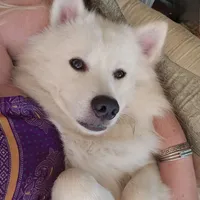 processed/fe5f7829-14bb-4c4b-aa7e-066bfb410280/facility/e9ef26c2-8aa0-484f-9b6e-176ea231c831