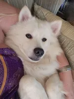 processed/fe5f7829-14bb-4c4b-aa7e-066bfb410280/facility/e9ef26c2-8aa0-484f-9b6e-176ea231c831