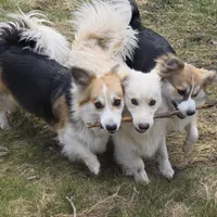 processed/fe5f7829-14bb-4c4b-aa7e-066bfb410280/facility/f29f70f0-7f67-4b62-adce-9f38f3cc7337