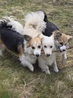 processed/fe5f7829-14bb-4c4b-aa7e-066bfb410280/facility/f29f70f0-7f67-4b62-adce-9f38f3cc7337