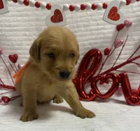 processed/fe749c32-54d7-40af-bc8a-5767d5ead43b/listing/0712e5e9-0920-4ffc-a349-1282c1f58473/1a06b551-5c6b-4c1f-9bdb-a410d9ba5291