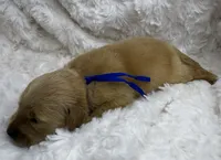 processed/fe749c32-54d7-40af-bc8a-5767d5ead43b/listing/0a5deaff-8f92-4cc9-85f0-b2fc671d7f9c/12a0ec50-436a-44d3-82f9-aa14578d6819