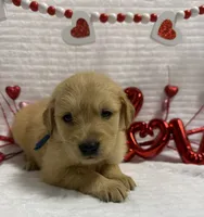 processed/fe749c32-54d7-40af-bc8a-5767d5ead43b/listing/0a5deaff-8f92-4cc9-85f0-b2fc671d7f9c/53bf2c41-6719-45ea-8ccf-d2cd097e9c80