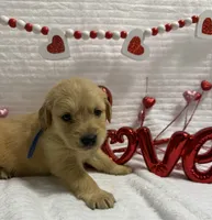 processed/fe749c32-54d7-40af-bc8a-5767d5ead43b/listing/0a5deaff-8f92-4cc9-85f0-b2fc671d7f9c/67ad25c3-66a3-4aa8-9575-4214d0863448