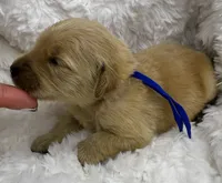 processed/fe749c32-54d7-40af-bc8a-5767d5ead43b/listing/0a5deaff-8f92-4cc9-85f0-b2fc671d7f9c/8feac7a7-7781-4d99-8822-63c6b6a8425a