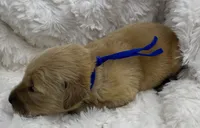 processed/fe749c32-54d7-40af-bc8a-5767d5ead43b/listing/0a5deaff-8f92-4cc9-85f0-b2fc671d7f9c/c60aa93f-ece1-431a-8b4e-0a0aff26d114