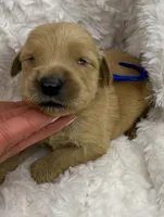 processed/fe749c32-54d7-40af-bc8a-5767d5ead43b/listing/0a5deaff-8f92-4cc9-85f0-b2fc671d7f9c/fe71073e-ca6b-4e68-956f-2e8b9bfe4808