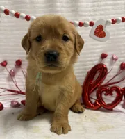 processed/fe749c32-54d7-40af-bc8a-5767d5ead43b/listing/944171c4-c909-4b75-b583-e2d90757040d/1a628f38-c485-4e6c-92cd-245875545fbb