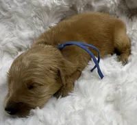 processed/fe749c32-54d7-40af-bc8a-5767d5ead43b/listing/d9bff3d4-5984-48a5-8247-e2bb79c8c254/20a9d557-8239-49ca-b527-042ecab97e7a