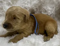 processed/fe749c32-54d7-40af-bc8a-5767d5ead43b/listing/d9bff3d4-5984-48a5-8247-e2bb79c8c254/b0070058-6446-4884-90e8-a76c7575f7af