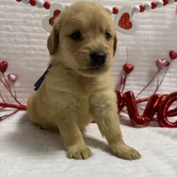 processed/fe749c32-54d7-40af-bc8a-5767d5ead43b/listing/d9bff3d4-5984-48a5-8247-e2bb79c8c254/ec17c9d5-a1c2-454a-a824-00903181c2a4